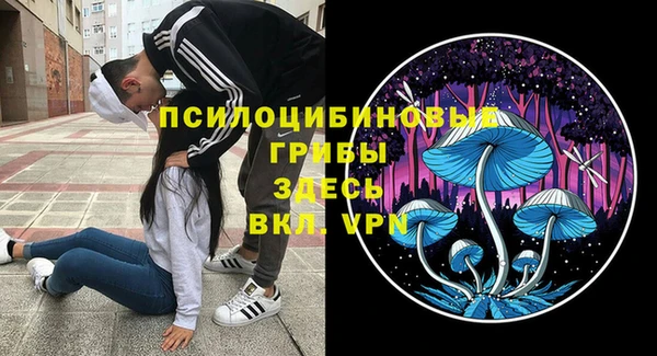 индика Балабаново