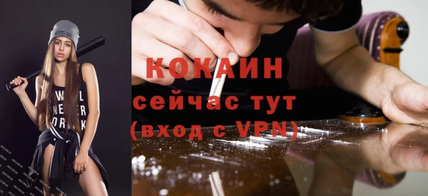прущие грибы Баксан