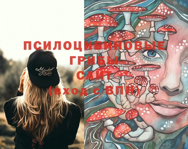 не бодяженный Арсеньев