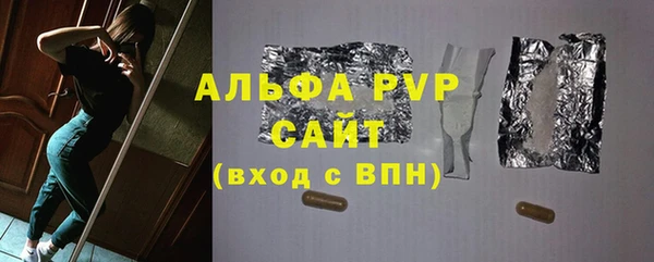 индика Балахна