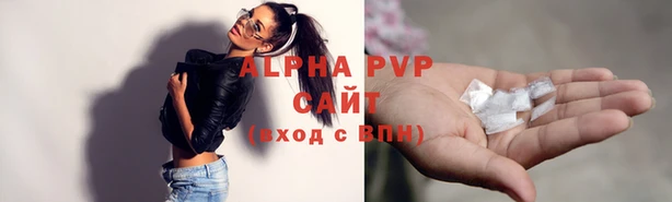 индика Балабаново