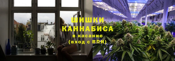 прущие грибы Баксан
