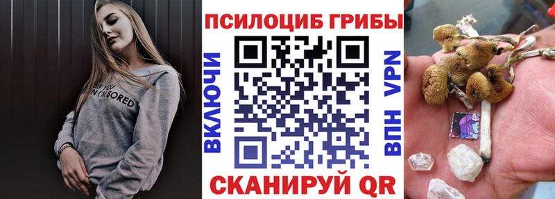 закладки  Урай  Галлюциногенные грибы прущие грибы 